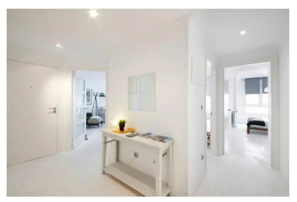 White Cozy Flat in Donostia
