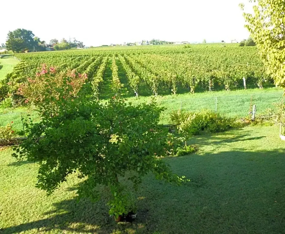 Le Clos des Rosiers
