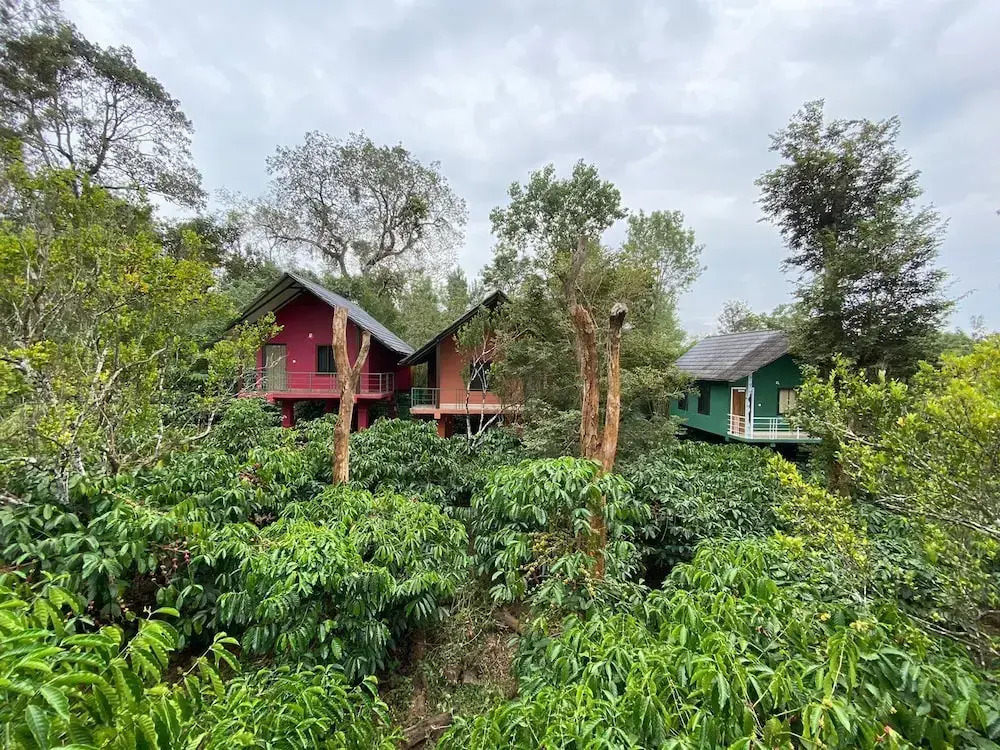The Rain Tree Resort