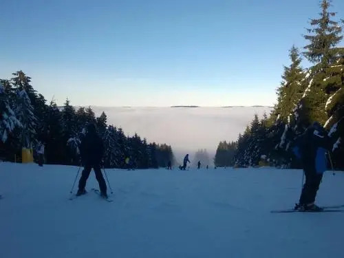 Holiday home Ecolodge Sauerland 2