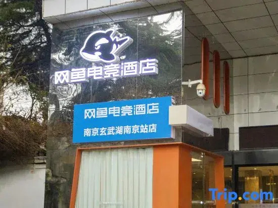 Wenzheng E-sports X Light Luxury Hotel (Xuanwu Lake Park Nanjing Station)