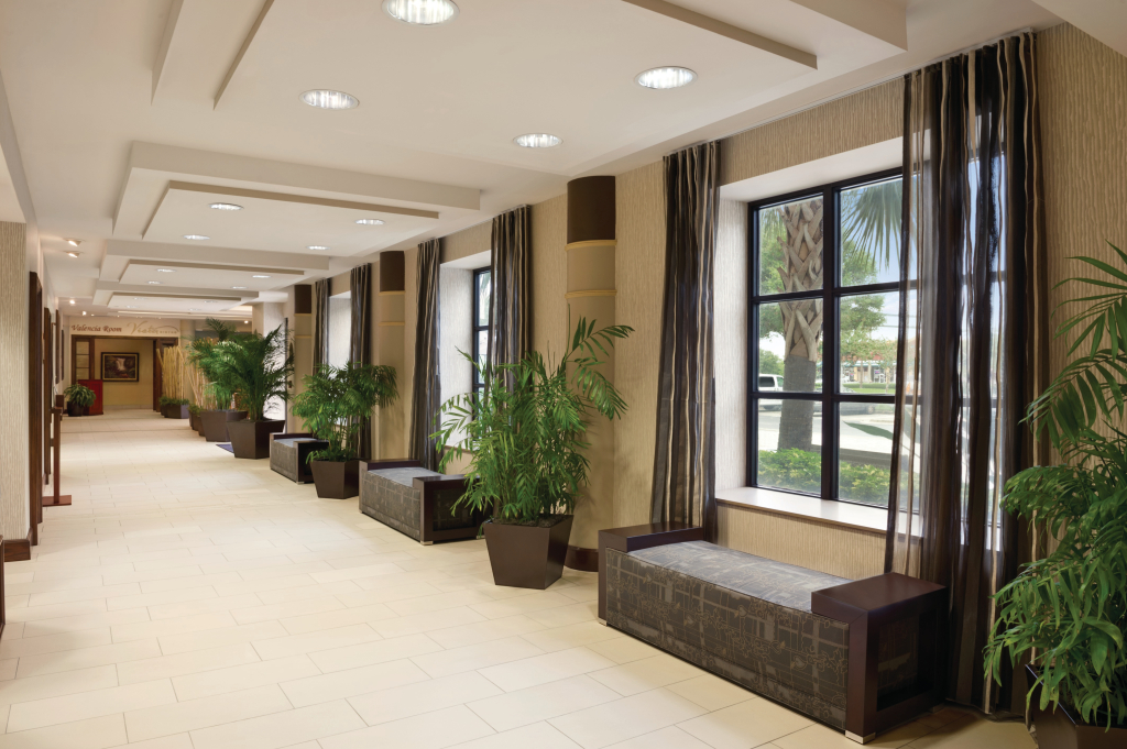Отель Buena Vista Suites Orlando