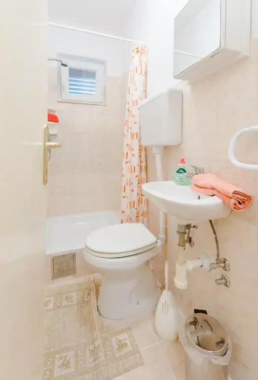Apartment Ljubomir