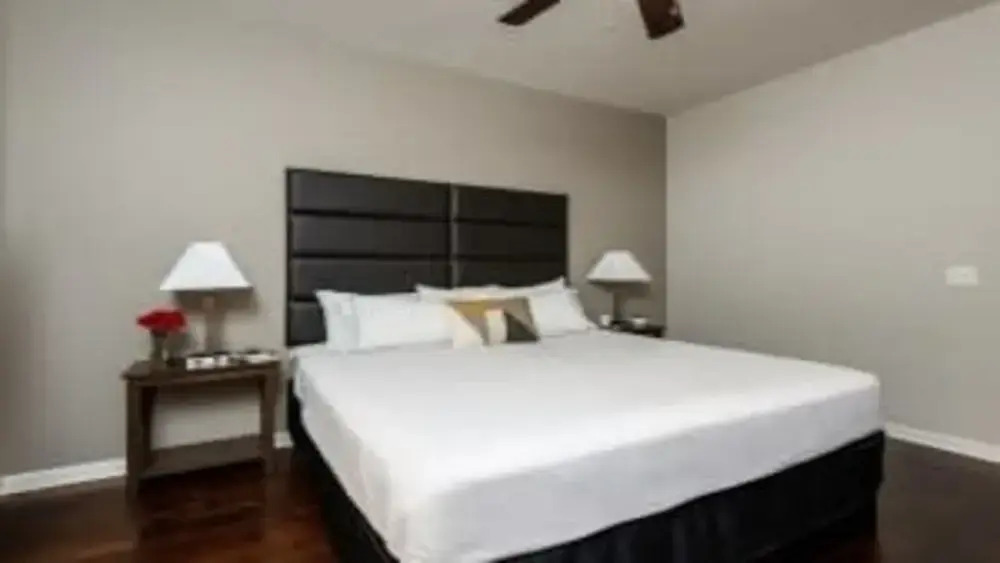 Bold Cozy Suites w/pool, gym, roof #2