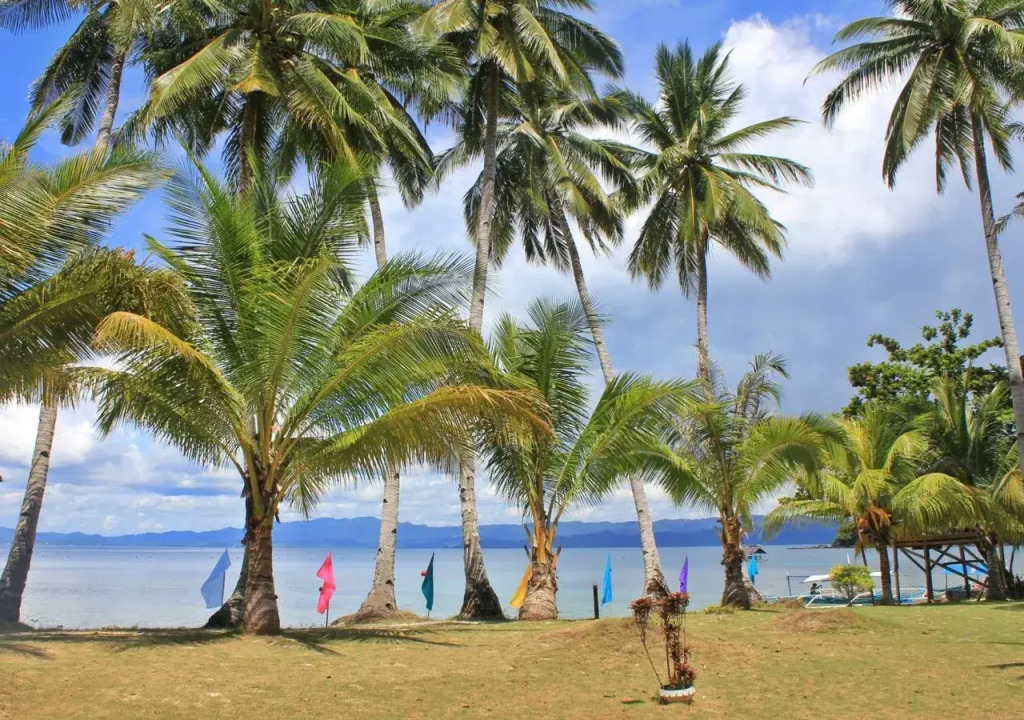 Blue Cove Island Resort