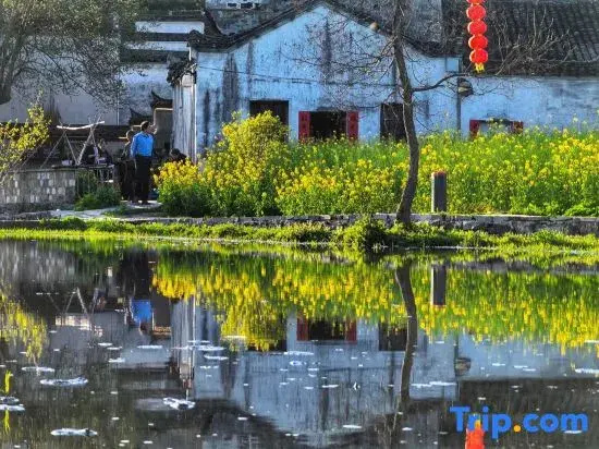 Yizhu Shanju Homestay (Xidi Scenic Area of Tourism, Huangshan)