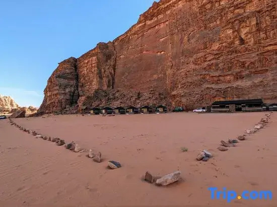 WhyDesert Camp & Tours