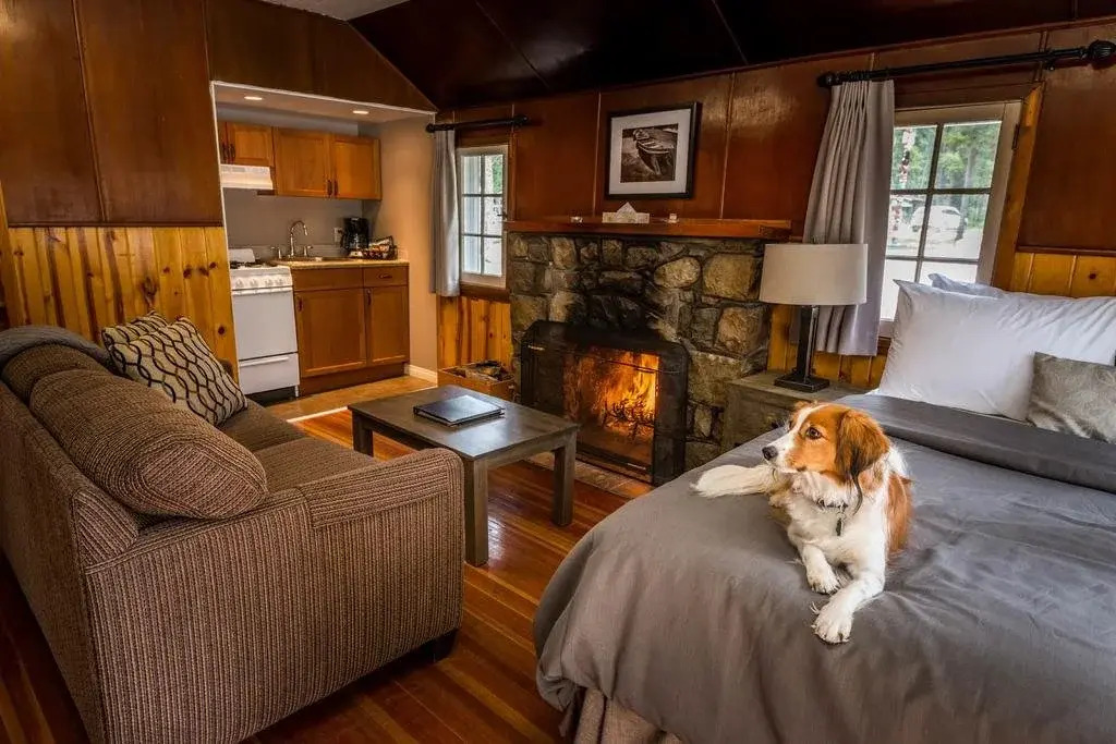 Tekarra Lodge