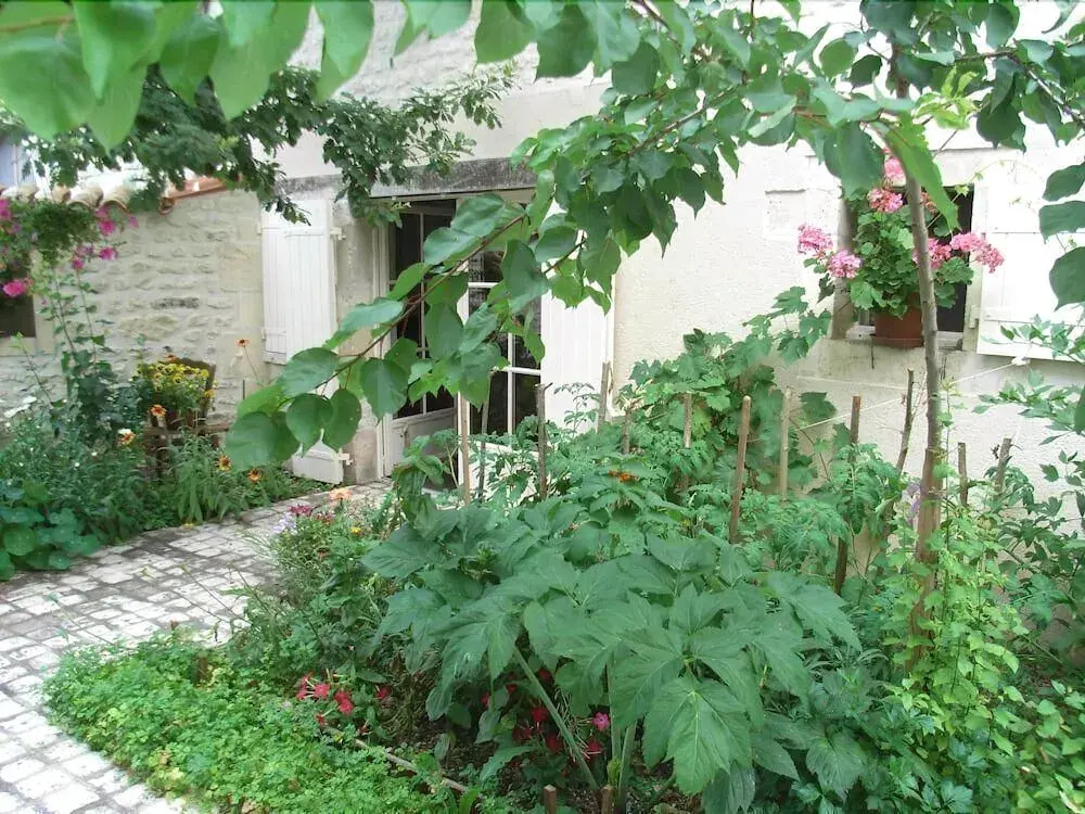 La Fleur de Vigne - Maison D'Hotes