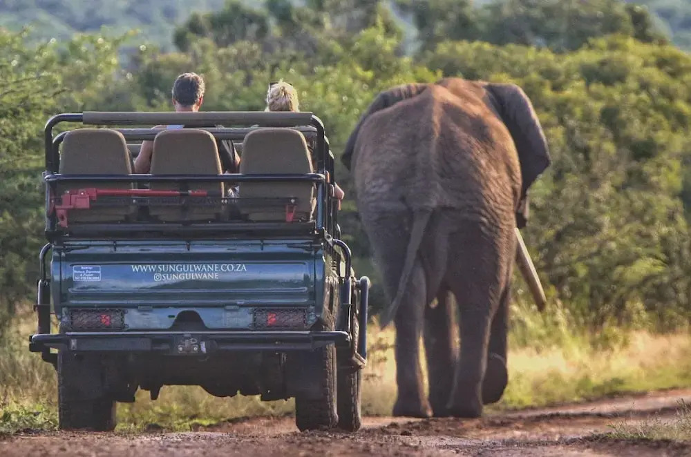 Sungulwane Private Game Lodge