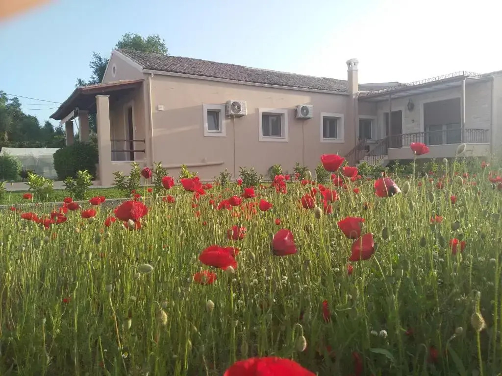STUDIO SPYROS