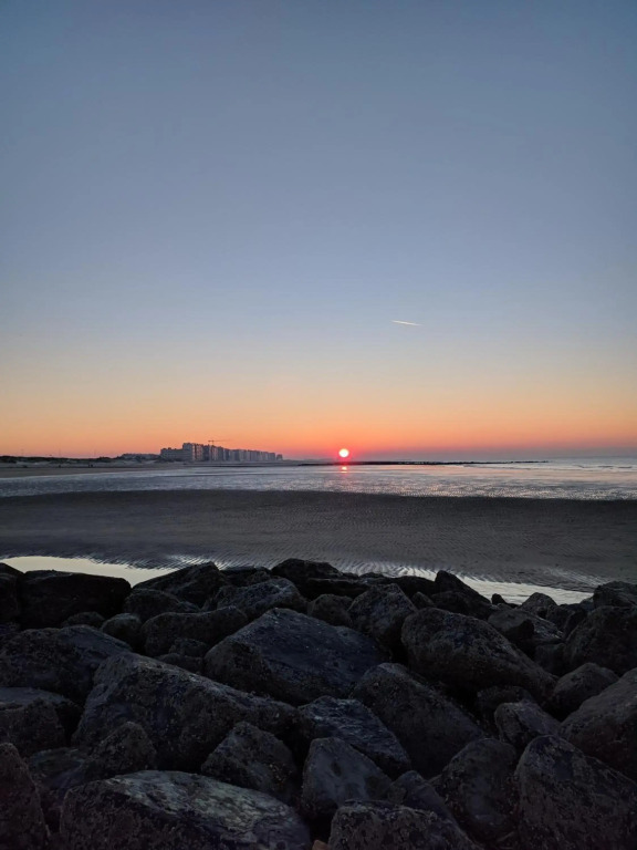Splendid Seaview