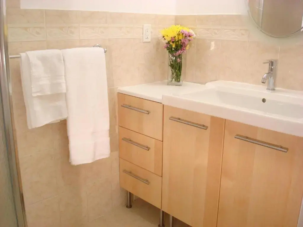 Bowers House BnB Harvard MIT Cambridge Boston