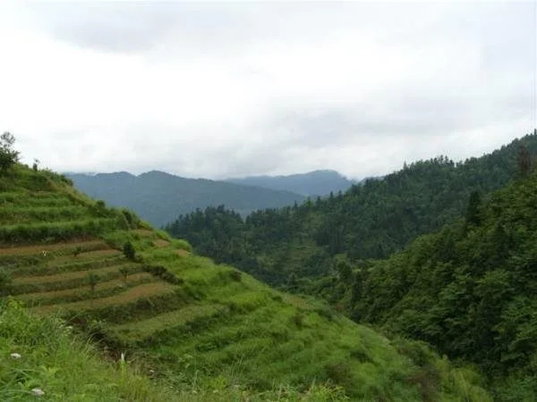 Zhen Chen Resort