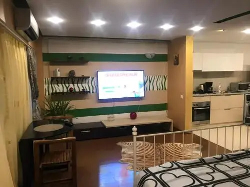 EVS Apartments Ghica Tei
