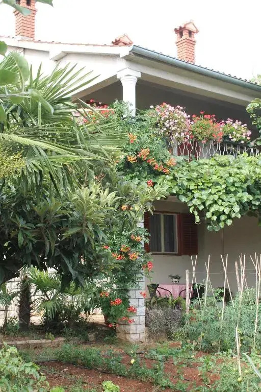 Apartment Slavica Vrvari