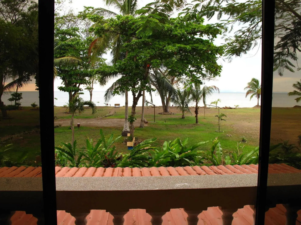 House of the Macaws