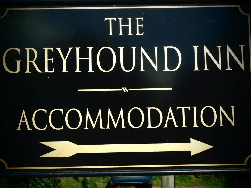 Greyhound