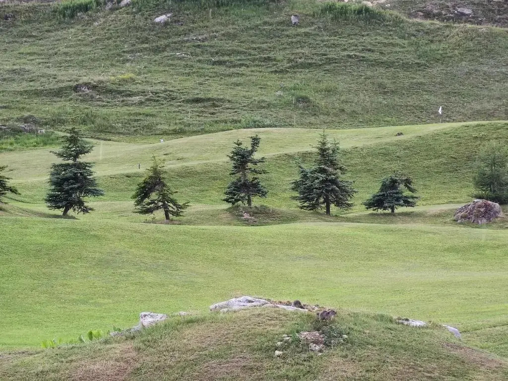 Chalet Club Val Claret 1 46