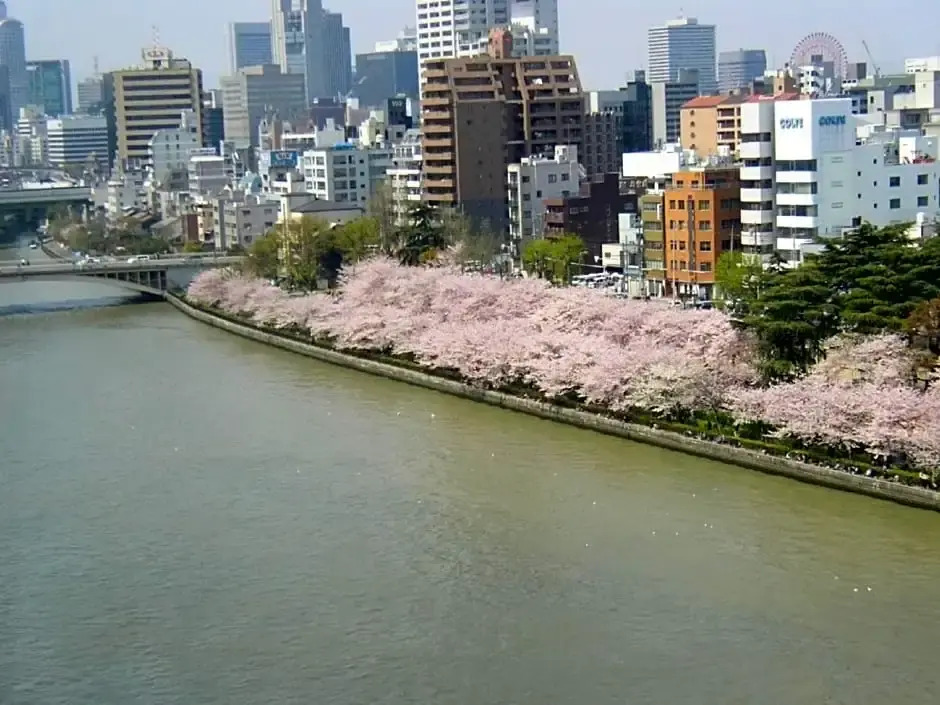 Osaka - Hotel / Vacation STAY 74214