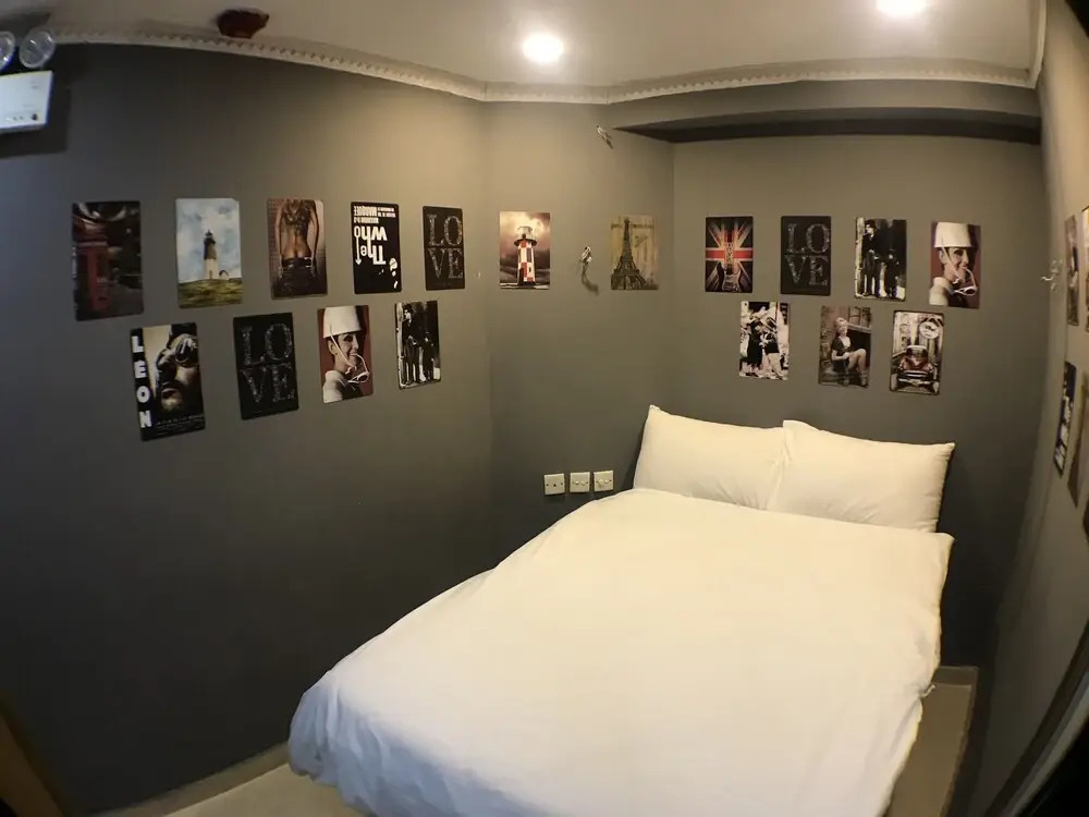The House