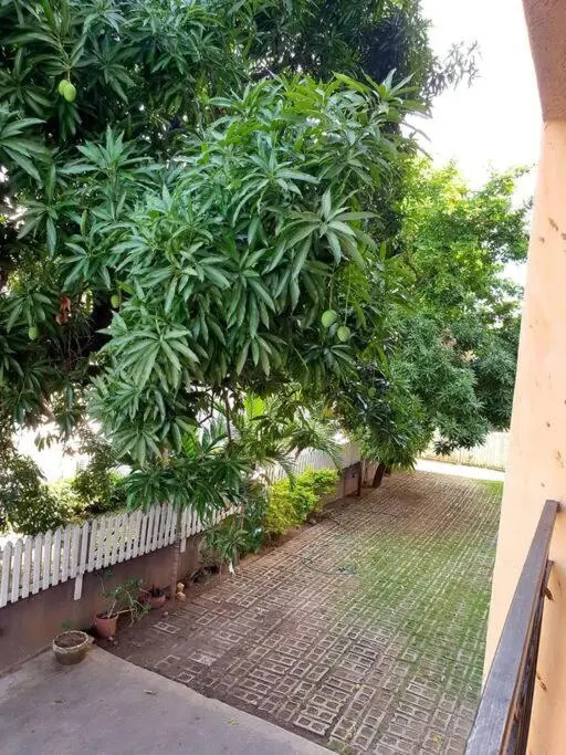 Central Upscale New Kingston Apt with pool