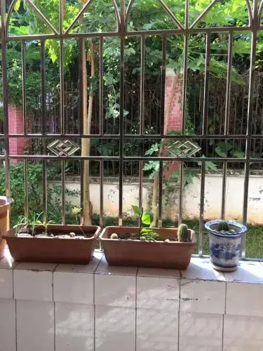 Shenzhen B104 Hostel