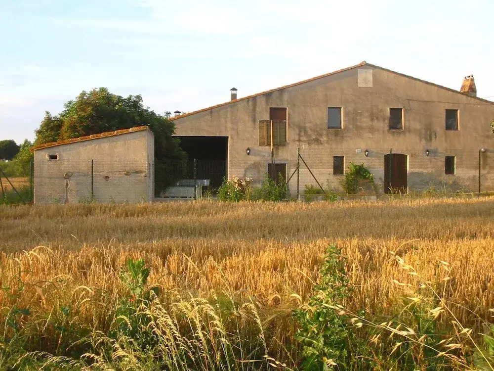 Can Jep Llarg Casa Rural