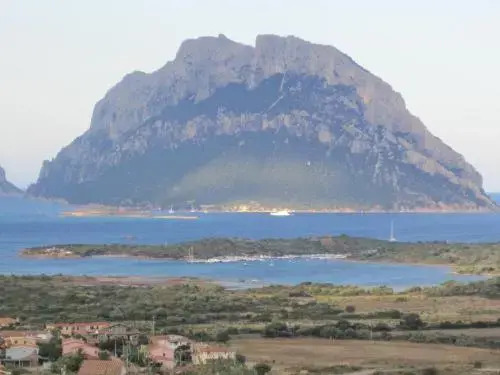 Casa Roggi
