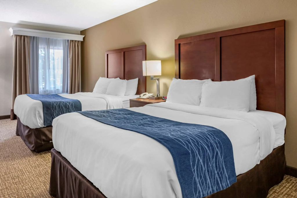 Comfort Inn Kalamazoo