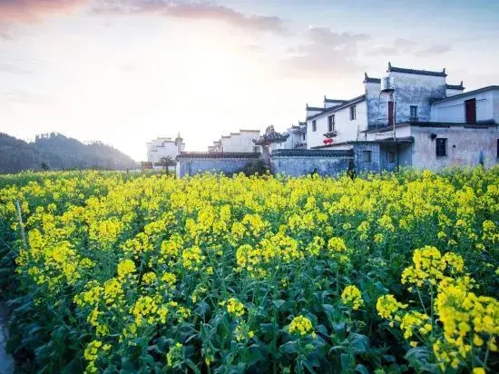 Wuyuan waiting for your homestay