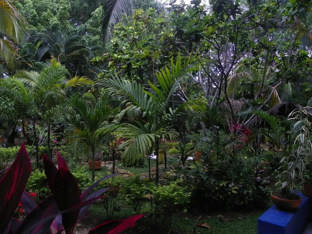 Amanwana Ecofinca