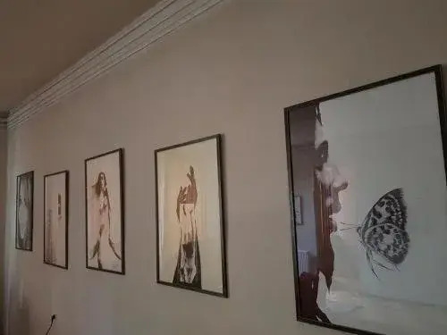 33 Birds