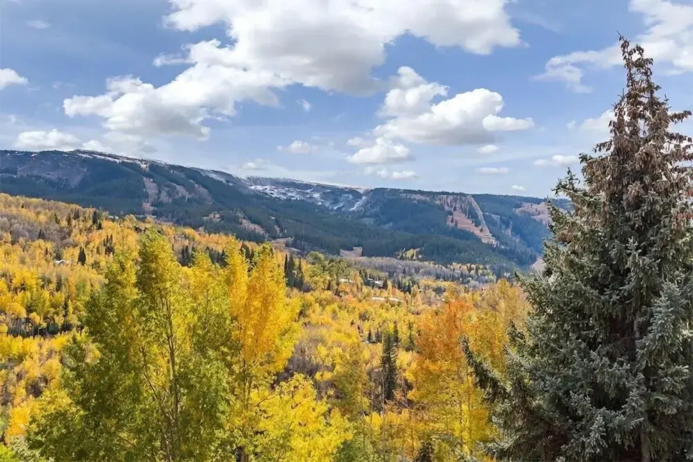 Prime Snowmass Retreat Ski Bridge, Walk To Village - 29c