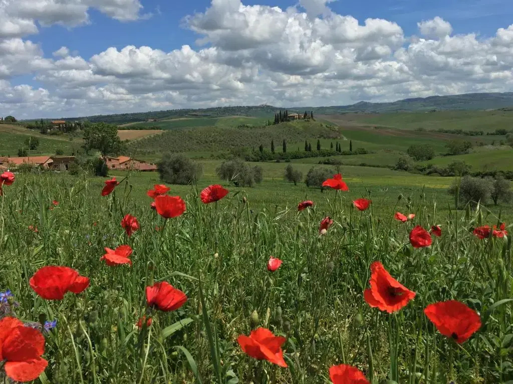 Residenza dEpoca La Rosa