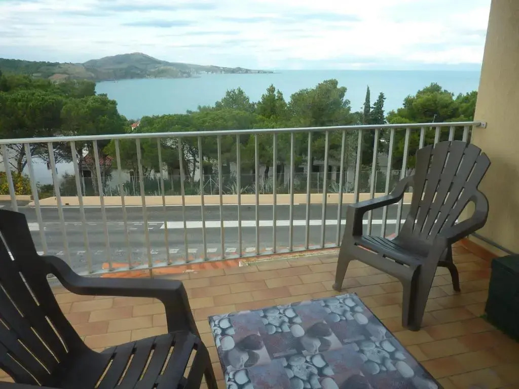 Appartement Banyuls-sur-Mer, 1 pièce, 2 personnes - FR-1-309-92
