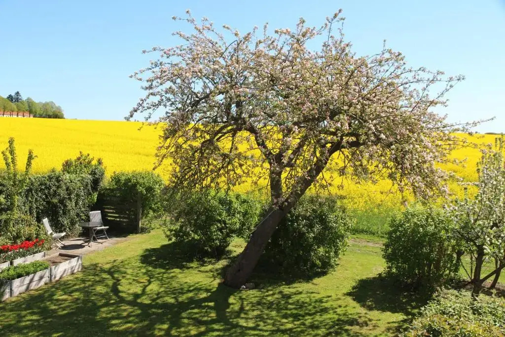 Stevns Klint Strandpension