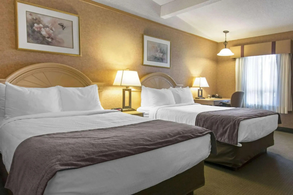 Flamingo Hotel