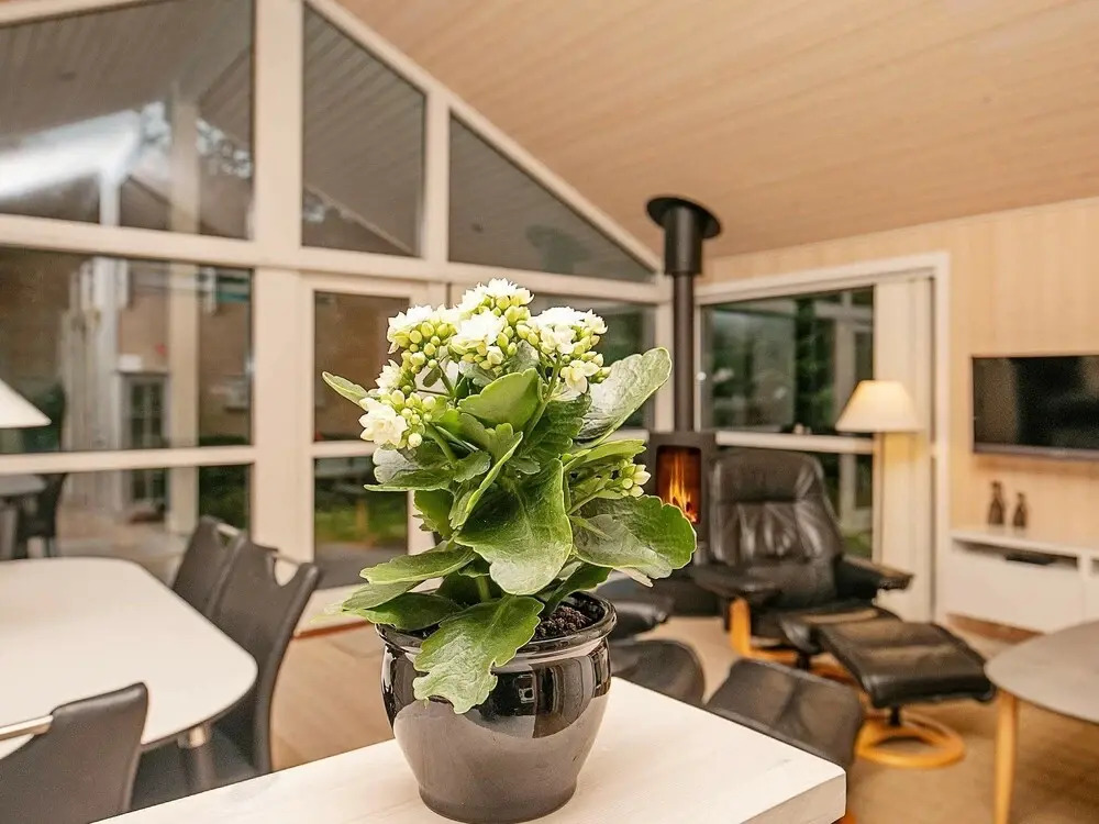 Luxurious Holiday Home in Hals Jutland With Whirlpool