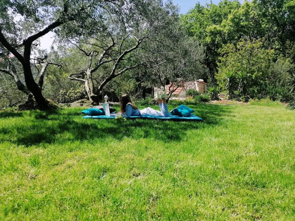 Guesthouse Oliva