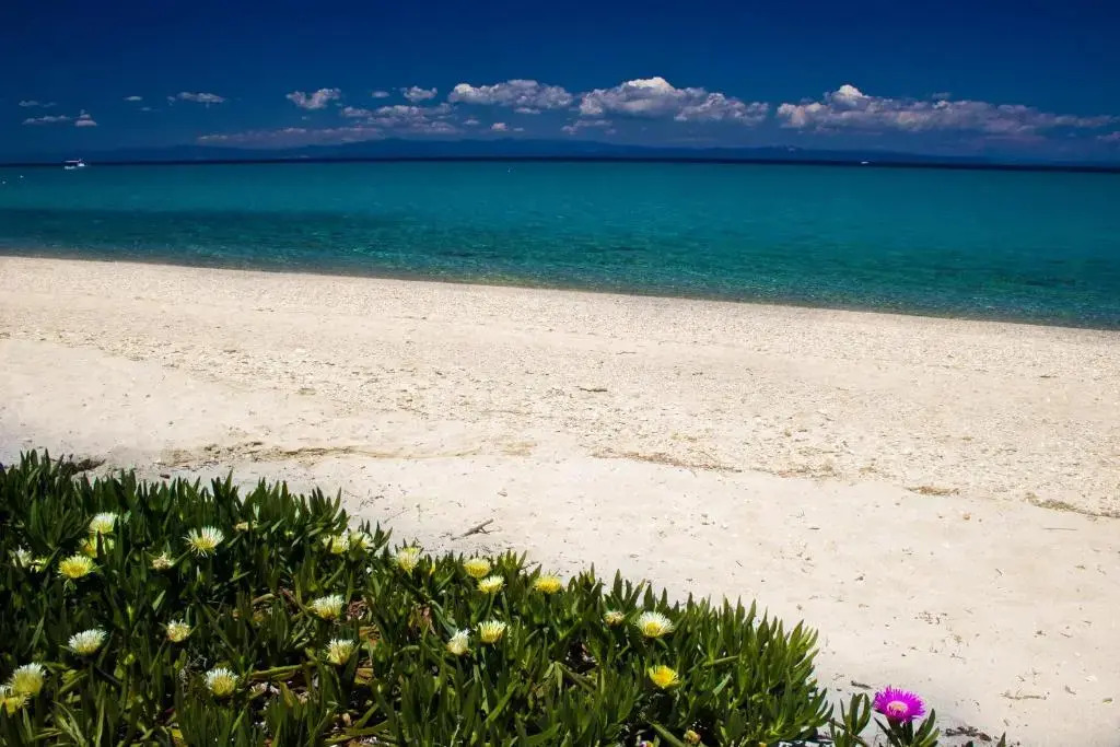 Paradise Family House in Chalkidiki Chanioti