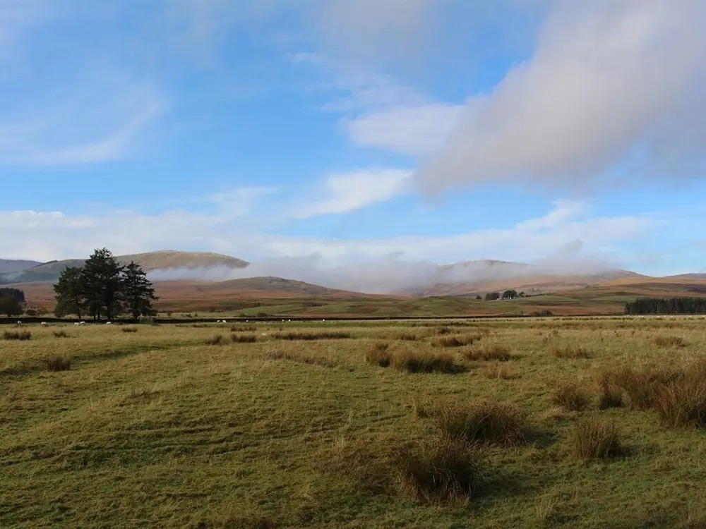 The Knowe B&B