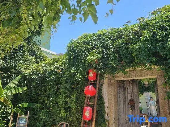 Dongshan Old Courtyard Homestay