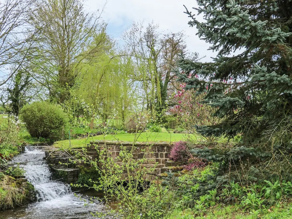 Pond View
