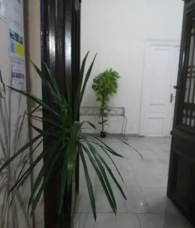 Grand Safari Hostel