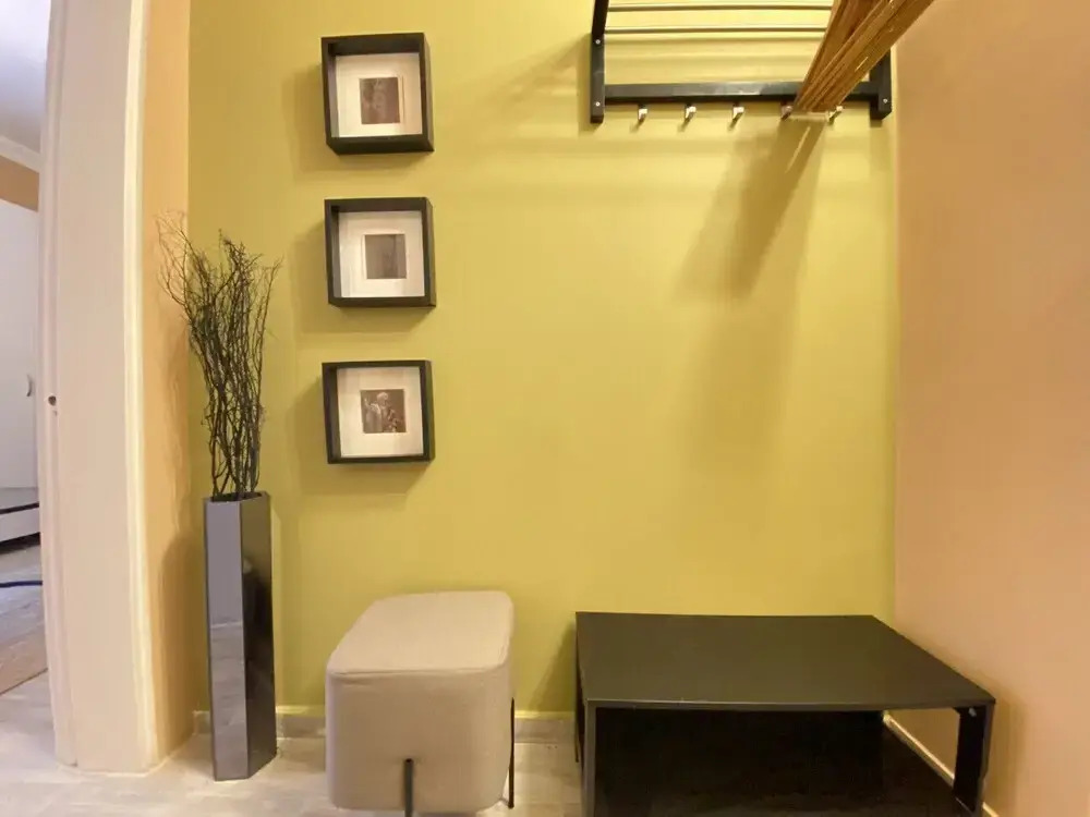 Lovely Home With Backyard in Cihangir