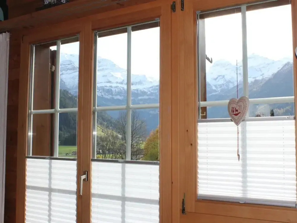 Rott li OG Lenk in Lenk