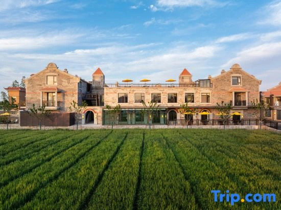 Manxin Mansion Shanghai International Tourism and Resorts Zone