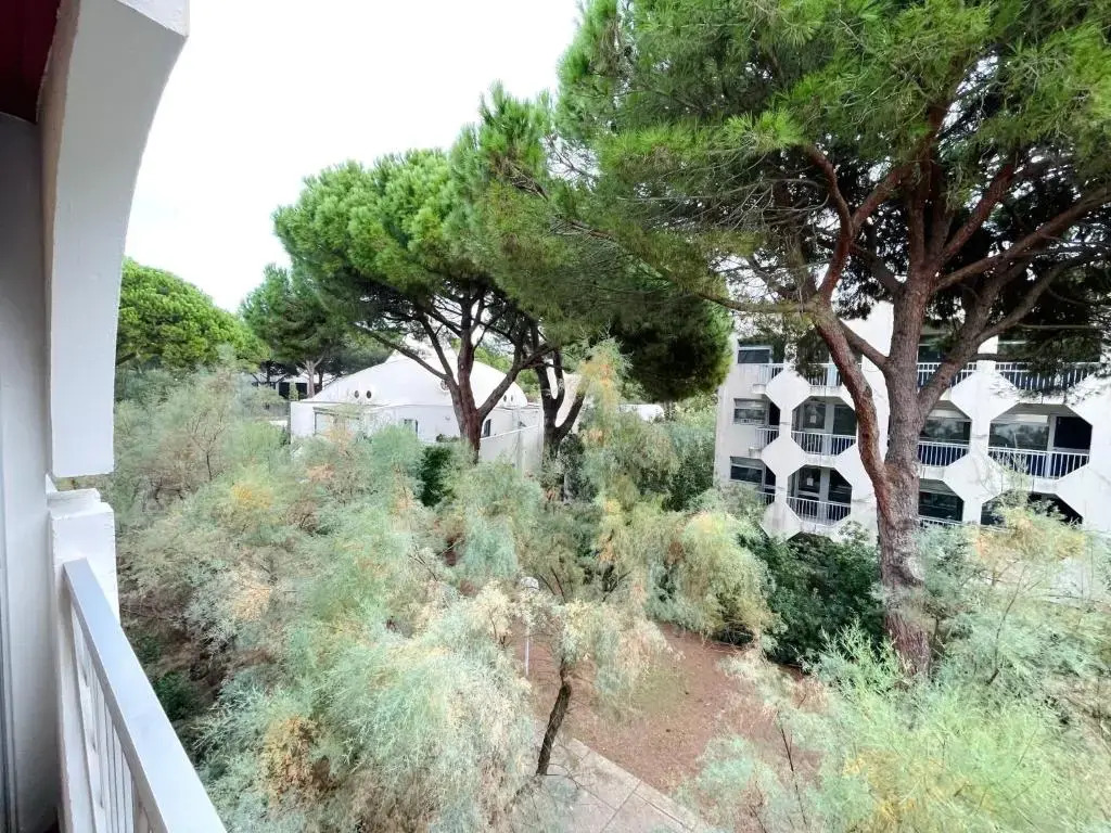 Grand studio en centre ville et à 50 mètres du port, climatisé