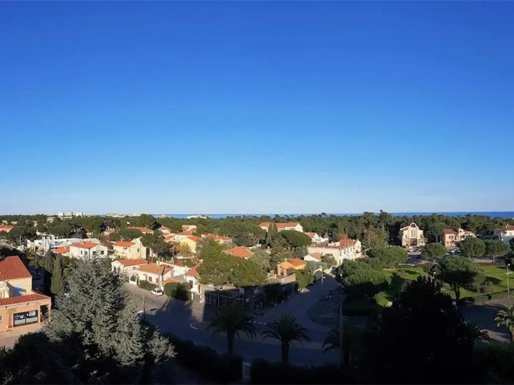 Appartement Argelès-sur-Mer, 1 pièce, 4 personnes - FR-1-388-154